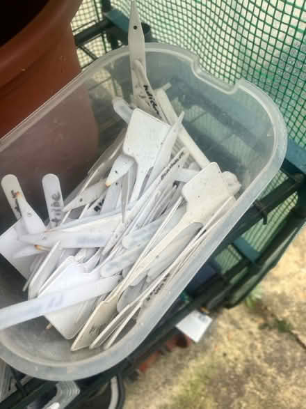 Photo of free >50 plastic plants pots + (South Norwood, SE25) #2