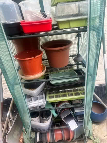 Photo of free >50 plastic plants pots + (South Norwood, SE25) #3