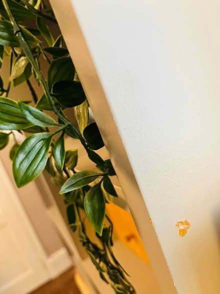 Photo of free Grey painted bookcase unit (South Norwood SE25) #4