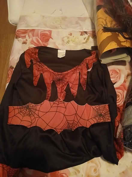 Photo of free 4_5 Halloween outfit (Gillingham ME7) #2