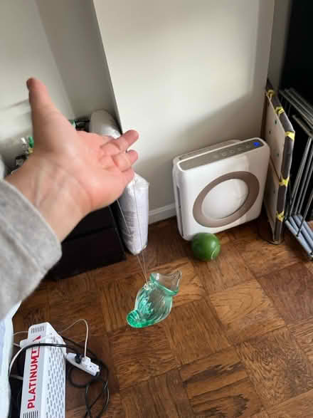 Photo of free Hanging nautilus glass (Woodley Park) #4