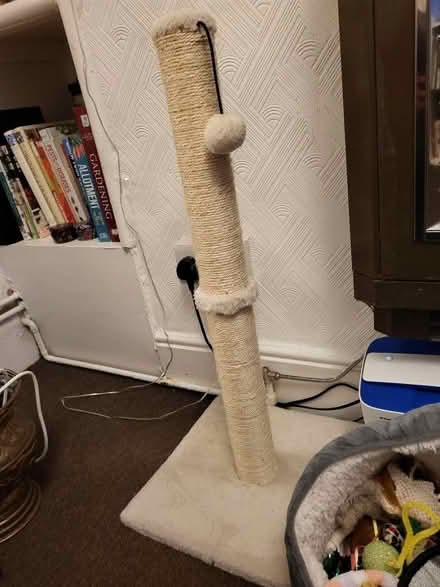 Photo of free Cat items (Leicester LE2) #2