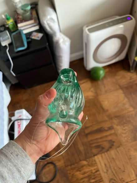 Photo of free Hanging nautilus glass (Woodley Park) #2