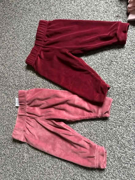 Photo of free Winter (Bushbury WV10) #4