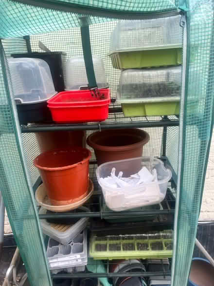 Photo of free >50 plastic plants pots + (South Norwood, SE25) #1