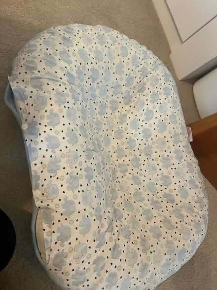 Photo of free Newborn Nest Pod (BN3) #1