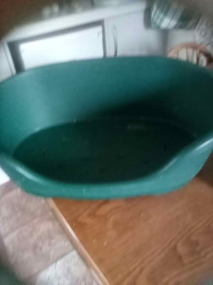 Photo of free Cat/dog bed (Hedge End SO30) #1
