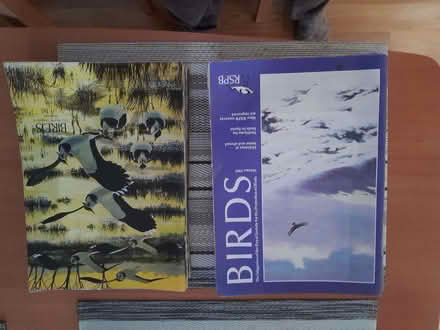 Photo of free RSPB magazines (Lower Earley RG6) #1