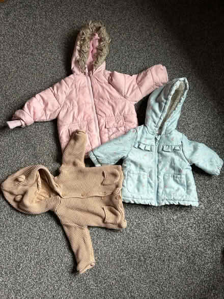 Photo of free Winter (Bushbury WV10) #3