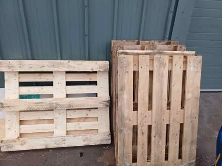 Photo of free Wood palets (Rudloe) #2