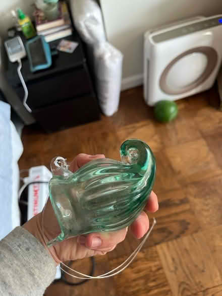 Photo of free Hanging nautilus glass (Woodley Park) #3