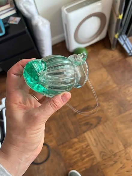 Photo of free Hanging nautilus glass (Woodley Park) #1