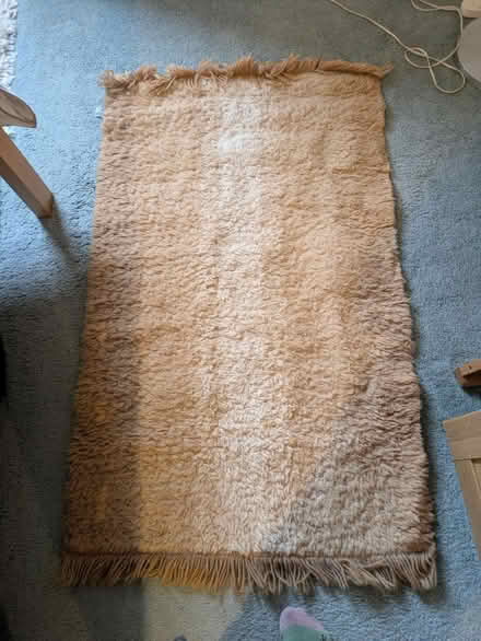 Photo of free Rug (BS16) #1
