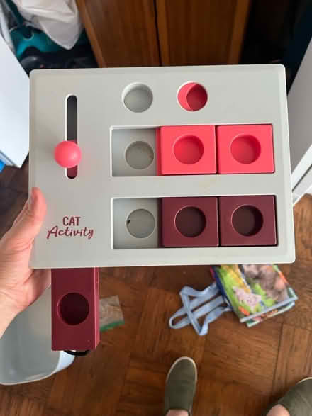 Photo of free Cat Treat Activity (Woodley Park) #1