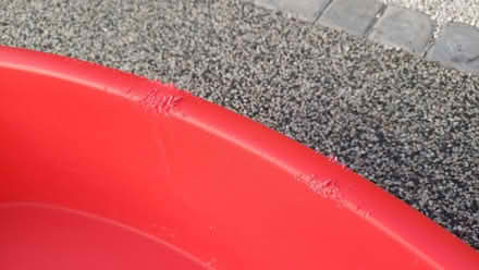 Photo of free Chewed plastic dog bed (Bradbourne Lakes TN13) #1