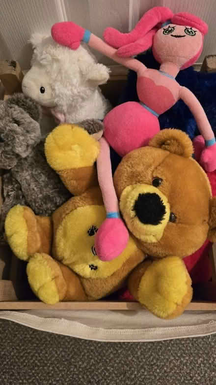Photo of free Soft toys (Woking GU21) #1