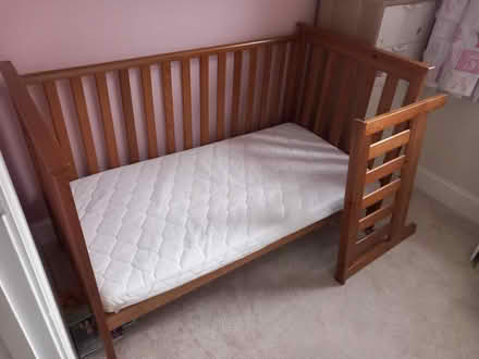 Photo of free Pine cot bed (Stone Cross BN23) #1