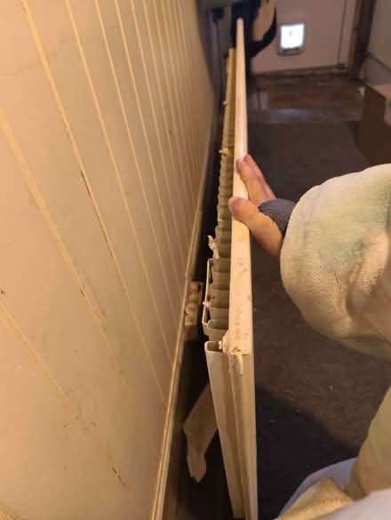 Photo of free Single panel radiator (Highfield S2) #2