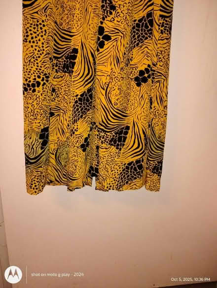 Photo of free Silk Dress #2 (West Harlem) #4