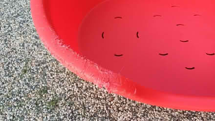 Photo of free Chewed plastic dog bed (Bradbourne Lakes TN13) #4
