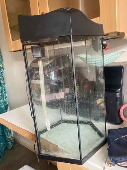 Photo of free Aqua One hexagon fish tank 30l (Freckleton PR4) #1