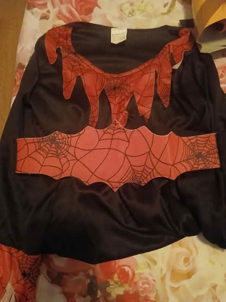 Photo of free 4_5 Halloween outfit (Gillingham ME7) #1