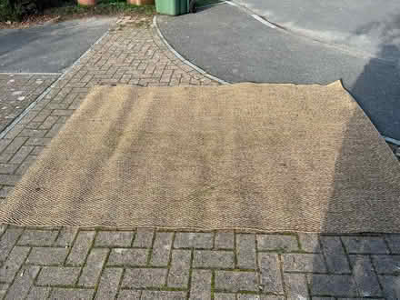 Photo of free Outdoor rug (Sandford-on-Thames OX4) #1