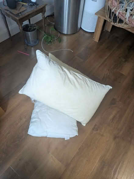 Photo of free Pillows (SE16) #1