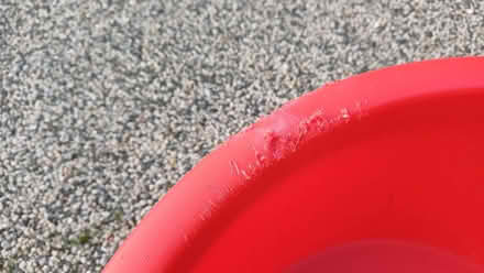 Photo of free Chewed plastic dog bed (Bradbourne Lakes TN13) #2