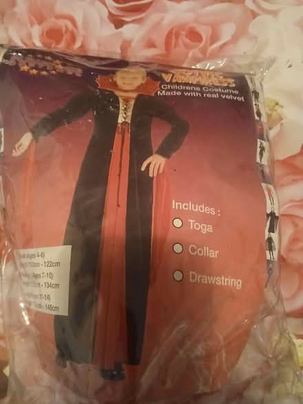 Photo of free Girls Halloween outfit 7-10 (Gillingham ME7) #1