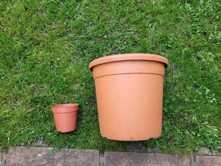 Photo of free Big pot (Feltham TW13) #3