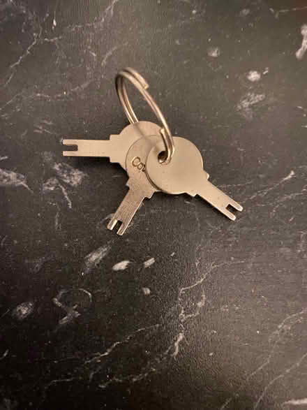 Photo of free Keys for double glazed windows (Wormbridge HR2) #1