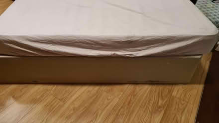 Photo of free Single Bed and mattress (Sydenham SE26) #1