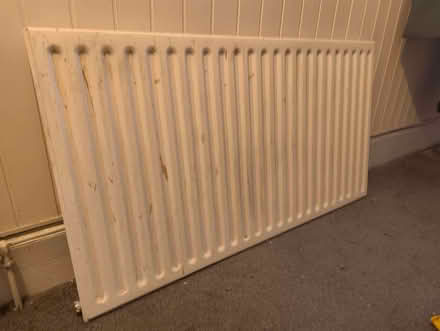 Photo of free Single panel radiator (Highfield S2) #3