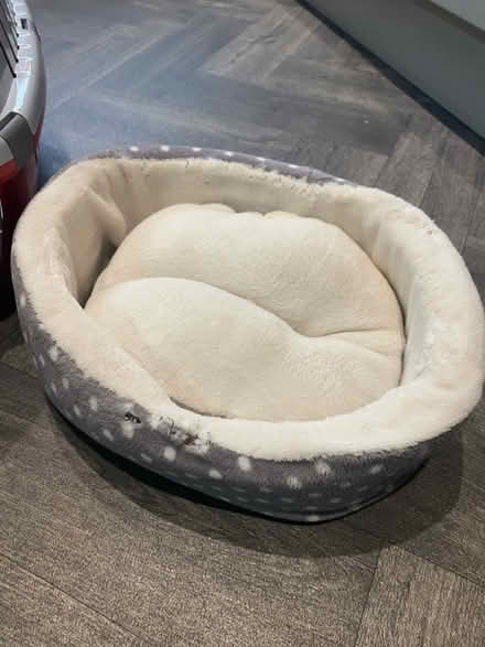 Photo of free Small pet bed (Morecambe) #1