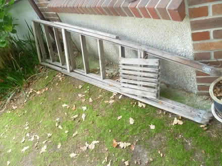 Photo of free Tall stepladder (Runcton PO20) #1