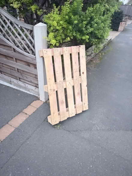 Photo of free Wood pallet (Horsforth LS18) #1