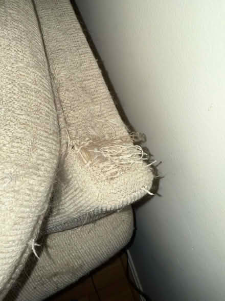 Photo of free Sofa and loveseat (downtown silver spring) #3