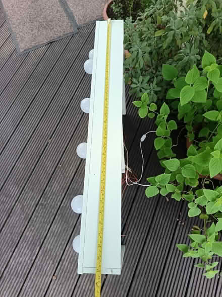 Photo of free Mirror (Barbourne, Worcester) #2