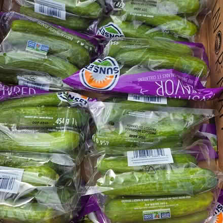 Photo of free Cucumbers (94041) #1