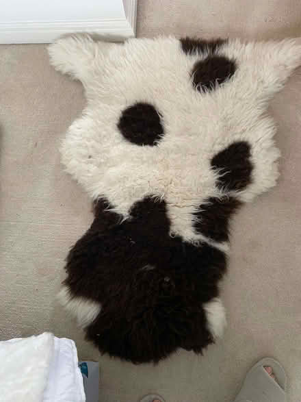 Photo of free Sheepskin Rug (Ashton Hayes CH3) #2