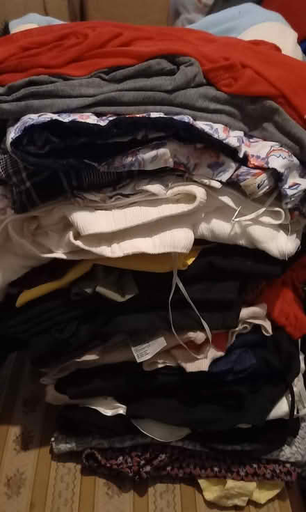 Photo of free Mixed bag of size 14 ladies clothes (CT14) #1