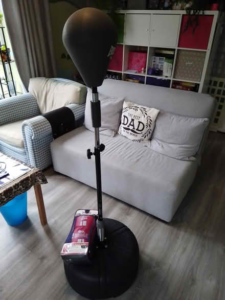 Photo of free BR5 - punch bag and gloves (St Mary Cray, BR5) #3