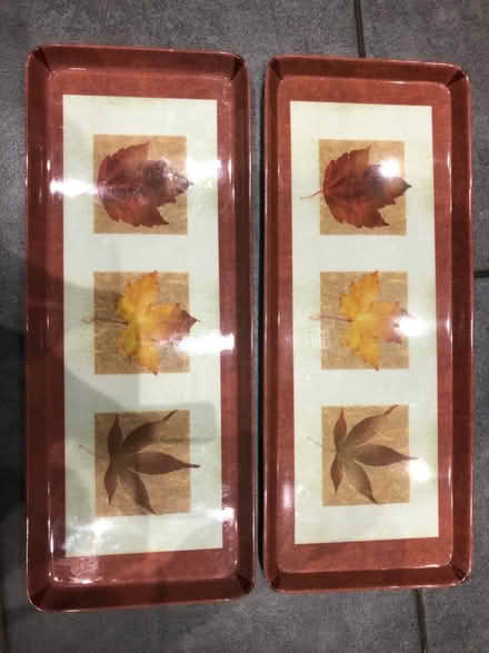 Photo of free 2 plastic trays (Maidstone (Barming)) #1