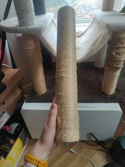 Photo of free Used cat tree (NW2 2AU) #3