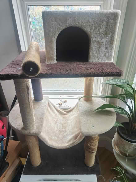 Photo of free Used cat tree (NW2 2AU) #1