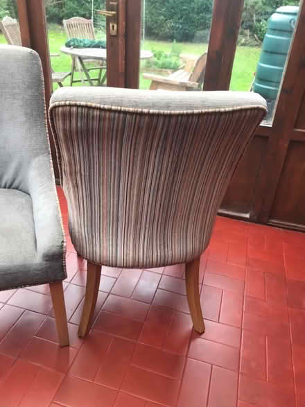 Photo of free 2 casual chairs (South Lopham IP22) #3