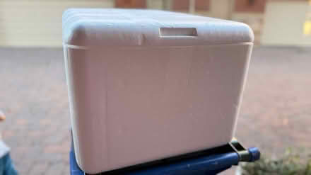 Photo of free Cooler, packing peanuts, ice packs (Clarendon metro,Arlington, VA) #1