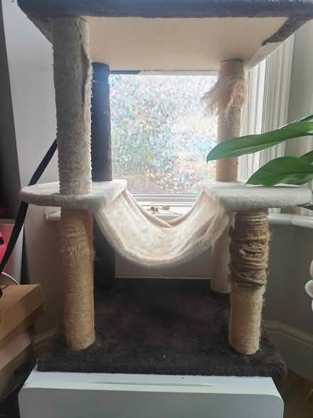 Photo of free Used cat tree (NW2 2AU) #4