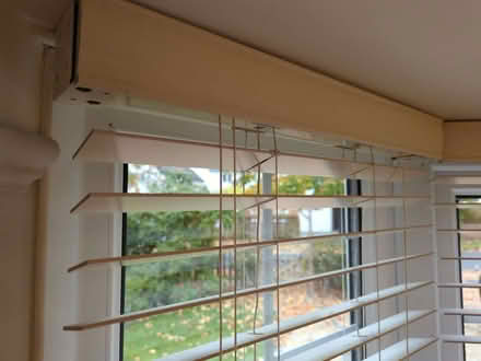 Photo of free 3x White/Cream 50mm Wooden Blinds (Saltney CH4) #3